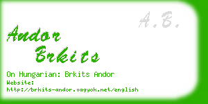 andor brkits business card